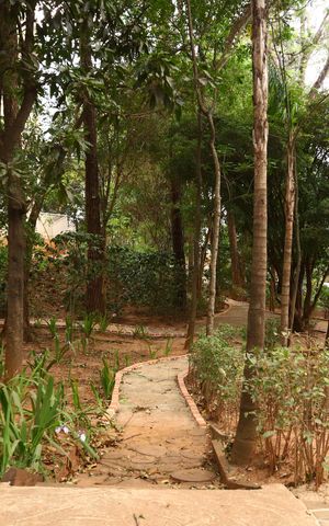 Apartamento à venda com 53m², 2 quartos e 1 vagaÁrea comum - Bosque