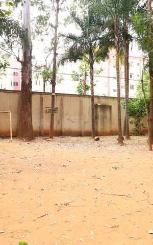 Apartamento à venda com 53m², 2 quartos e 1 vagaÁrea comum - Quadra