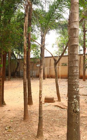 Apartamento à venda com 53m², 2 quartos e 1 vagaÁrea comum - Bosque