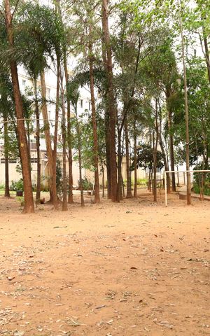 Apartamento à venda com 53m², 2 quartos e 1 vagaÁrea comum - Quadra