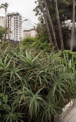 Casa à venda com 120m², 2 quartos e 5 vagasJardim