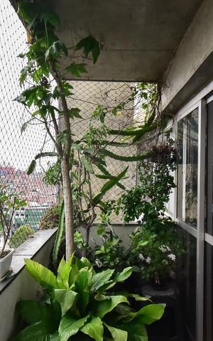 Apartamento à venda com 140m², 3 quartos e 2 vagasVaranda
