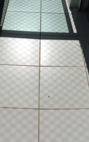 Apartamento para alugar com 125m², 3 quartos e 2 vagasVaranda da Suíte