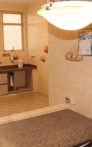 Apartamento para alugar com 348m², 2 quartos e 2 vagasCozinha