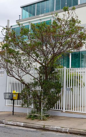 Casa de condomínio à venda com 92m², 3 quartos e 2 vagas Casa de condomínio à venda com 92m², 3 quartos e 2 vagasFachada