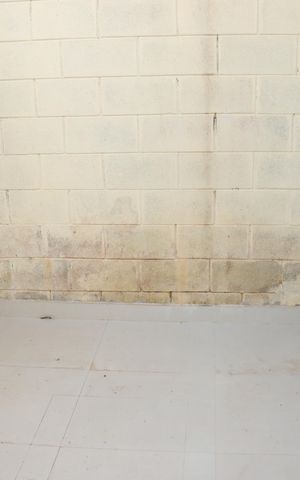 Casa de condomínio para alugar com 52m², 2 quartos e 1 vagaÁrea Externa