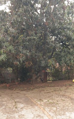 Casa à venda com 228m², 3 quartos e 4 vagasQuintal
