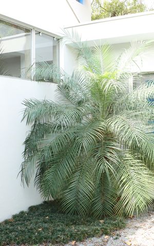 Casa de condomínio para alugar com 300m², 5 quartos e 4 vagasQuintal