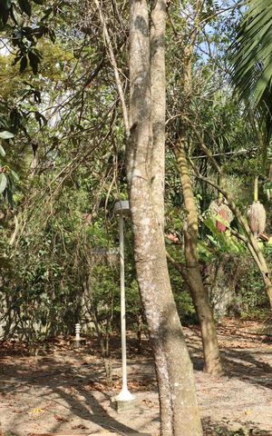 Casa de condomínio para alugar com 300m², 5 quartos e 4 vagasQuintal