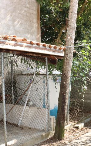 Casa de condomínio para alugar com 300m², 5 quartos e 4 vagasQuintal
