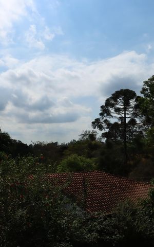Casa de condomínio para alugar com 300m², 5 quartos e 4 vagasSuíte 5