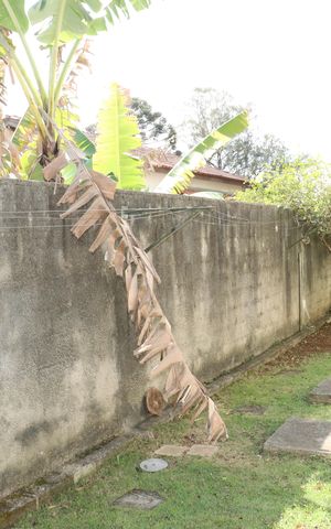 Casa de condomínio para alugar com 300m², 5 quartos e 4 vagasQuintal
