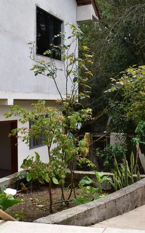 Casa para alugar com 63m², 2 quartos e 1 vagaÁrea externa 