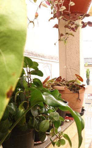 Casa à venda com 175m², 2 quartos e 2 vagasVaranda