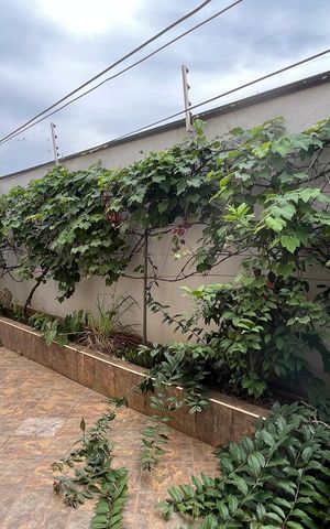 Casa à venda com 407m², 5 quartos e 4 vagas