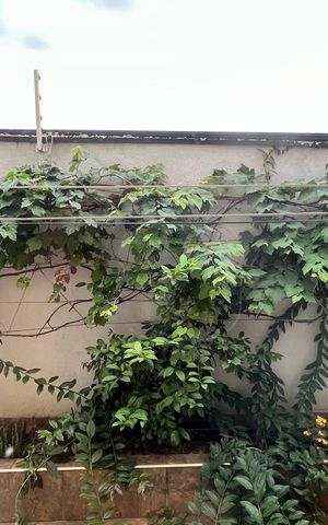 Casa à venda com 407m², 5 quartos e 4 vagas