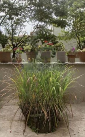 Casa à venda com 279m², 3 quartos e 3 vagas