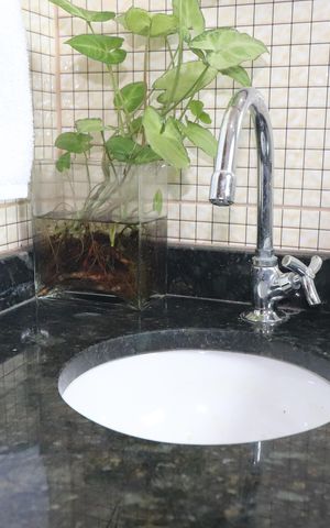 Apartamento à venda com 100m², 2 quartos e 1 vagaBanheiro