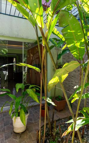 Casa à venda com 359m², 3 quartos e 2 vagas Casa à venda com 359m², 3 quartos e 2 vagasSuíte 2