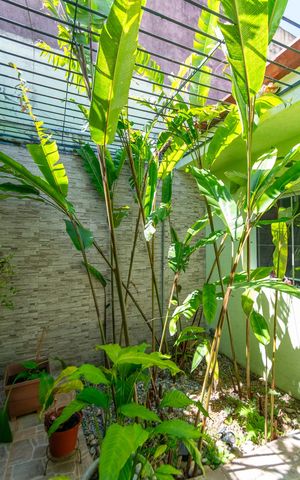 Casa à venda com 359m², 3 quartos e 2 vagas Casa à venda com 359m², 3 quartos e 2 vagasJardim de inverno