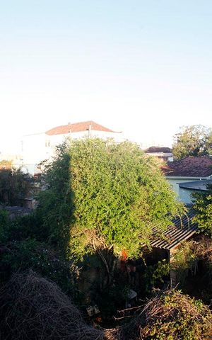 Apartamento para alugar com 50m², 1 quarto e 1 vagaVista do Quarto
