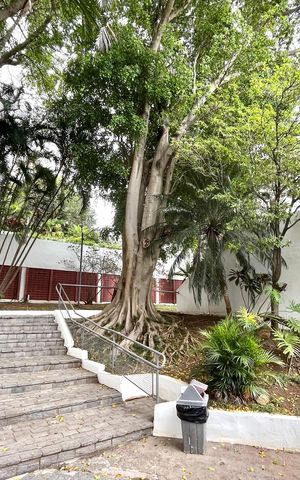 Apartamento à venda com 75m², 3 quartos e 1 vaga Apartamento à venda com 75m², 3 quartos e 1 vagaÁrea comum