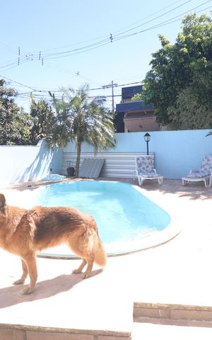 Casa à venda com 350m², 4 quartos e 2 vagasÁrea comum - Piscina