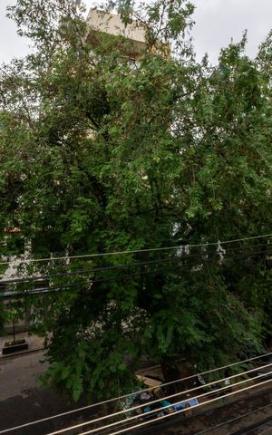 Apartamento à venda com 130m², 3 quartos e sem vagaVista do Quarto 2