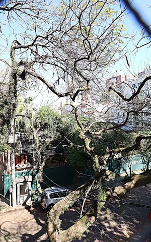Apartamento para alugar com 153m², 3 quartos e 1 vagaVista do Quarto 1