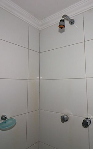 Apartamento para alugar com 153m², 3 quartos e 1 vagaBanheiro 1