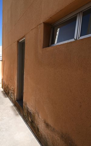 Studio à venda com 34m², 1 quarto e sem vagaQuintal
