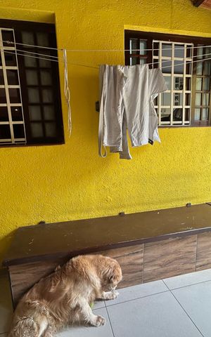 Casa à venda com 194m², 3 quartos e 2 vagas Casa à venda com 194m², 3 quartos e 2 vagasQuintal