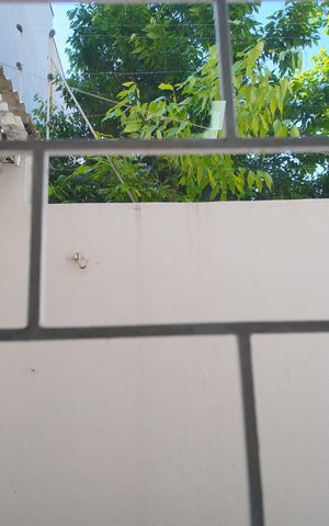 Apartamento à venda com 88m², 2 quartos e 1 vagaVista do Quarto 1