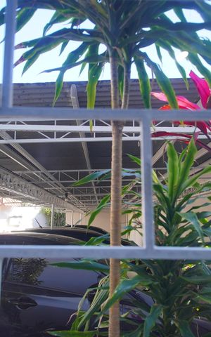 Apartamento à venda com 88m², 2 quartos e 1 vagaVista do Quarto 2