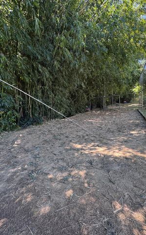 Apartamento para alugar com 65m², 2 quartos e 1 vaga Apartamento para alugar com 65m², 2 quartos e 1 vagaÁrea comum
