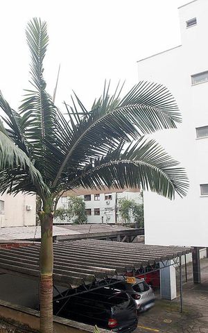 Apartamento para alugar com 150m², 3 quartos e sem vagaEscritório Vista