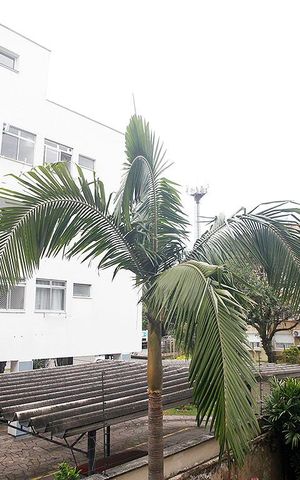 Apartamento para alugar com 150m², 3 quartos e sem vagaSuíte