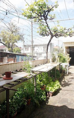 Casa à venda com 350m², 3 quartos e 3 vagasQuintal