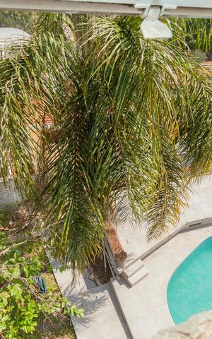 Casa à venda com 420m², 4 quartos e 6 vagasVista da Suíte 1