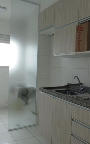 Apartamento à venda com 49m², 2 quartos e 1 vagaCozinha