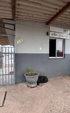 Apartamento à venda com 45m², 2 quartos e 1 vaga
