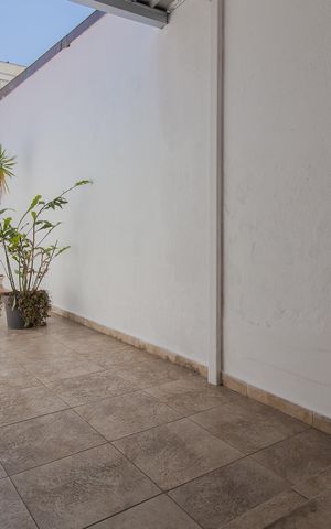 Casa para alugar com 300m², 8 quartos e 3 vagas Casa para alugar com 300m², 8 quartos e 3 vagasQuintal