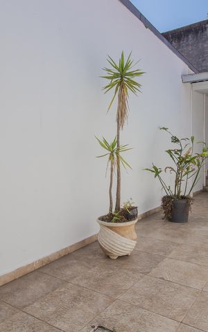Casa para alugar com 300m², 8 quartos e 3 vagas Casa para alugar com 300m², 8 quartos e 3 vagasQuintal
