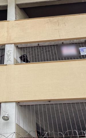 Apartamento à venda com 60m², 1 quarto e 1 vagaPlaquinha