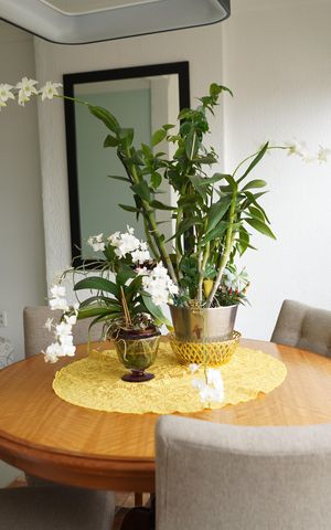 Apartamento à venda com 60m², 2 quartos e 1 vagaVaranda da Sala