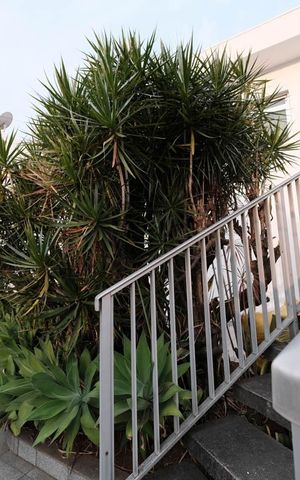 Casa para alugar com 165m², 2 quartos e 5 vagasGaragem