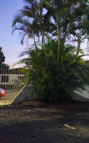 Apartamento à venda com 87m², 3 quartos e 1 vagaGaragem