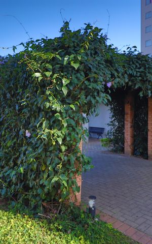 Apartamento à venda com 49m², 2 quartos e 1 vagaÁrea comum