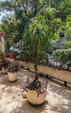 Apartamento à venda com 150m², 3 quartos e 1 vagaÁrea comum