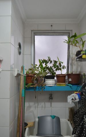 Apartamento à venda com 62m², 2 quartos e 1 vagaÁrea de Serviço